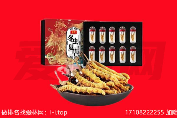 佛山市顺德回收虫草.jpg